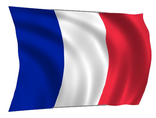 53 FRANCE flag.jpg